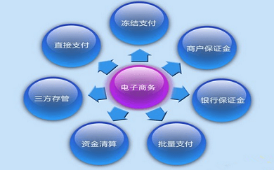 电子商务，电子商务开发