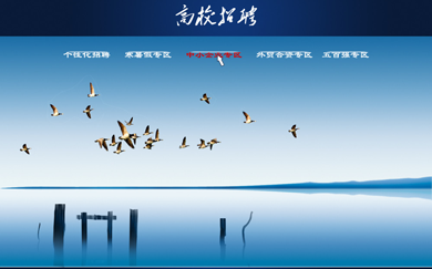 南昌网站建设,南昌网络公司,南昌APP开发,江西APP定制开发,南昌网站设计,南昌微信开发,南昌商城